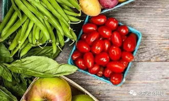 消费升级与新零售浪潮 解码巨头为何重兵布局线下生鲜赛道